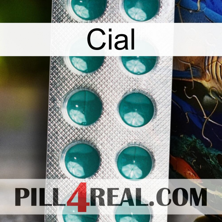 Cial dapoxetine1